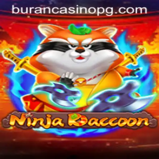 Discover the Exciting World of NinjaRaccoon on ha.bet Plataforma